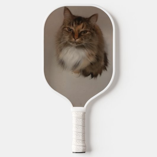 Raquette De Pickleball Chat (Recto)