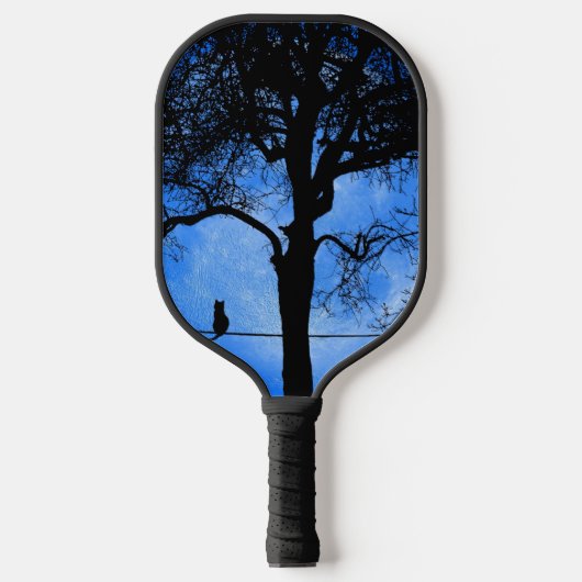 Raquette De Pickleball Chat sur une lune bleue fil (Recto)