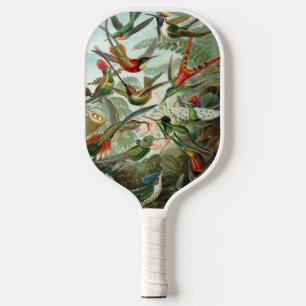 Raquette De Pickleball Colibris par Ernst Haeckel, Oiseaux Vintages