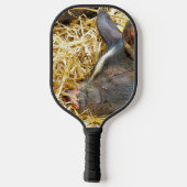 RAQUETTE DE PICKLEBALL COUPER (Verso)