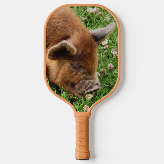 RAQUETTE DE PICKLEBALL COUPER (Recto)