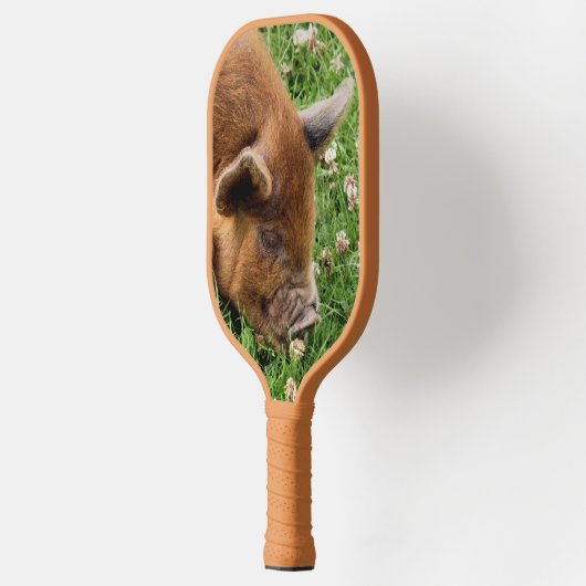 RAQUETTE DE PICKLEBALL COUPER (Gauche)