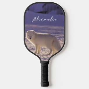 Raquette De Pickleball Cute White Arctic Fox neige hiver Photographie