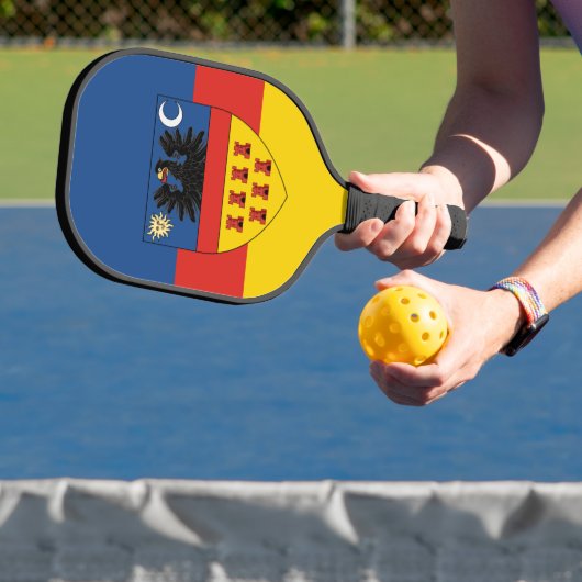 Raquette De Pickleball Drapeau de Transylvanie (Insitu)