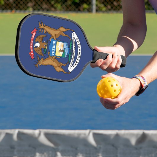 Raquette De Pickleball Drapeau d'État du Michigan, États-Unis (Insitu)