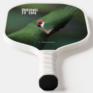 Raquette De Pickleball Drôle Curieux Guinée Turaco Oiseau Vert