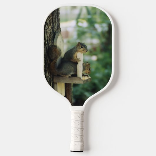 Raquette De Pickleball Écureuil (Verso)