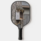 Raquette De Pickleball Écureuil (Verso)