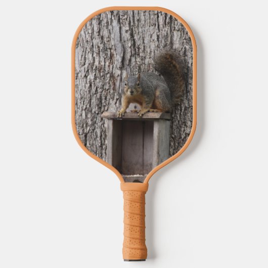 Raquette De Pickleball Écureuil (Recto)