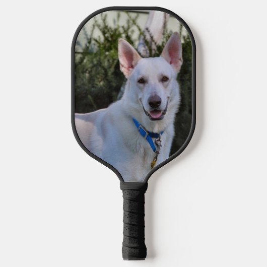 Raquette De Pickleball Fantôme (Recto)