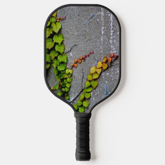 Raquette De Pickleball Feuilles d'automne (Recto)