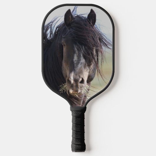 Raquette De Pickleball Flux à jet Wild Horse (Recto)