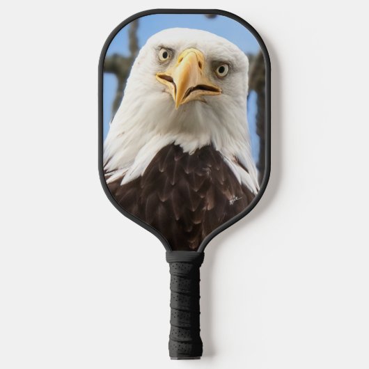 Raquette De Pickleball Funny Bald Eagle Visage Faune Photographie (Recto)