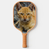 Raquette De Pickleball Golden Eyes (Recto)