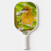 Raquette De Pickleball Il est temps de construire le nid (Recto)