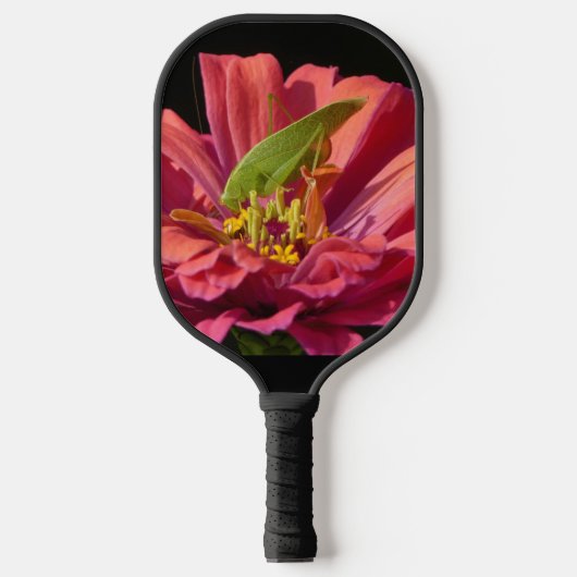Raquette De Pickleball Katydid sur Zinnia (Recto)
