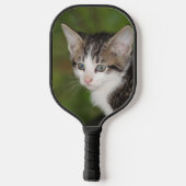 Raquette De Pickleball Kitten (Verso)