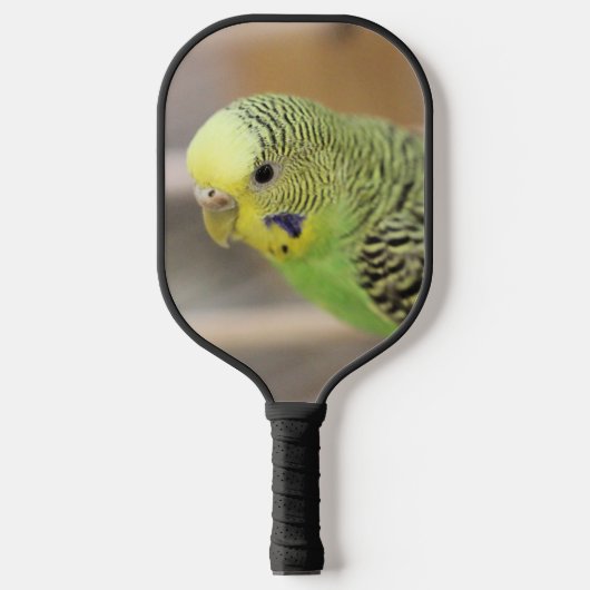 Raquette De Pickleball Kiwi (Recto)