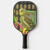 Raquette De Pickleball Kiwi (Verso)