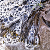 RAQUETTE DE PICKLEBALL LA PLAGE, ALGUES, EAU ET SABLE