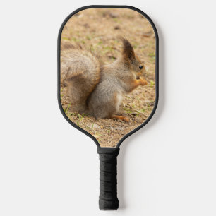 Raquette De Pickleball L'écureuil mignon mange une photo de noix