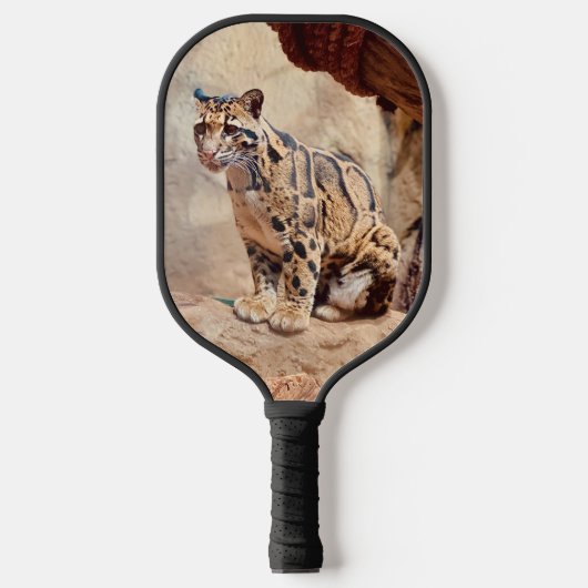 Raquette De Pickleball léopard nébuleux image nature faune exotique (Recto)