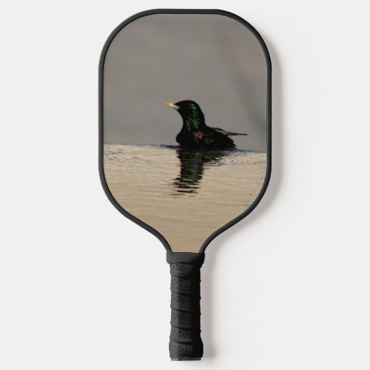 Raquette De Pickleball Little Bird (Recto)