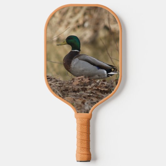 Raquette De Pickleball Mallard Canard Pickleball Paddle (Recto)