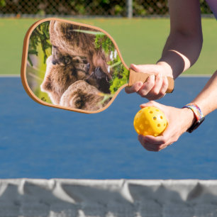 Raquette De Pickleball Mama ours allaitant ses deux petits, Lake Clark NP