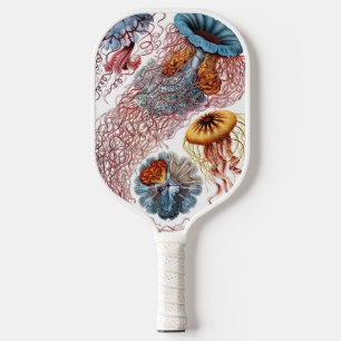Raquette De Pickleball Méduses vintage par Ernst Haeckel, Discomedusae