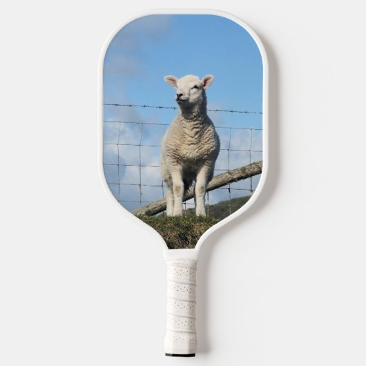 RAQUETTE DE PICKLEBALL MOQUETTE (Verso)