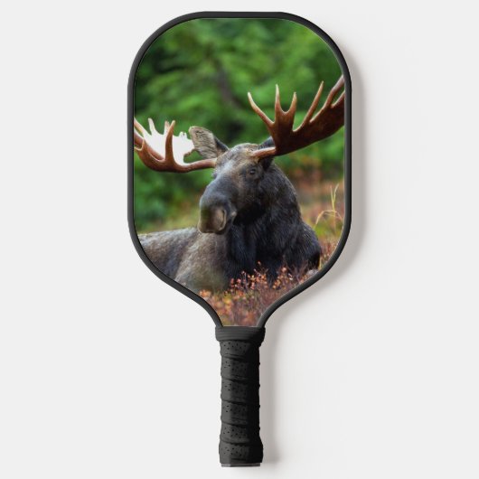 Raquette De Pickleball Oie (Recto)
