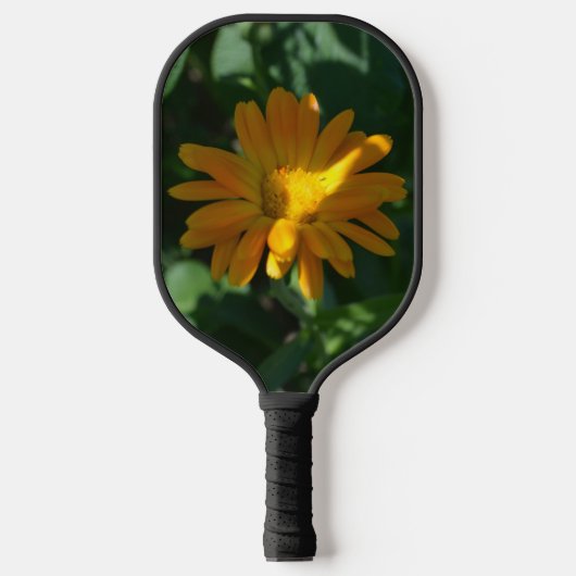 Raquette De Pickleball Orange Pot Marigold Flower (Calendula officinalis) (Recto)
