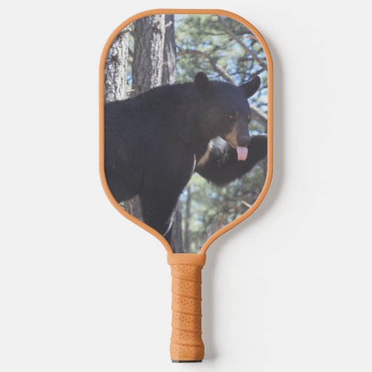 Raquette De Pickleball Ours noir (Recto)