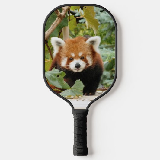 Raquette De Pickleball Panda rouge (Recto)