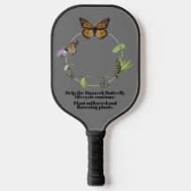 Papillon monarque