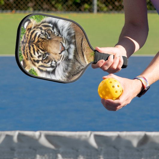 Raquette De Pickleball Photo Sumatran Tiger (Insitu)