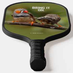 Raquette De Pickleball Pinsons zèbres effrontés sur une branche chanteuse