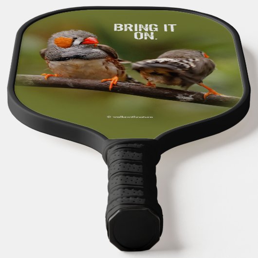 Raquette De Pickleball Pinsons zèbres effrontés sur une branche chanteuse (Poser)