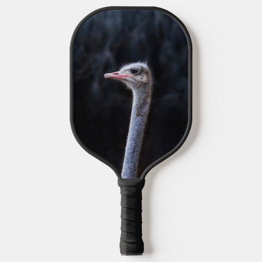Raquette De Pickleball portrait d'autruche (Recto)