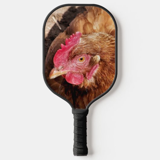 RAQUETTE DE PICKLEBALL POULET CUIT (Recto)