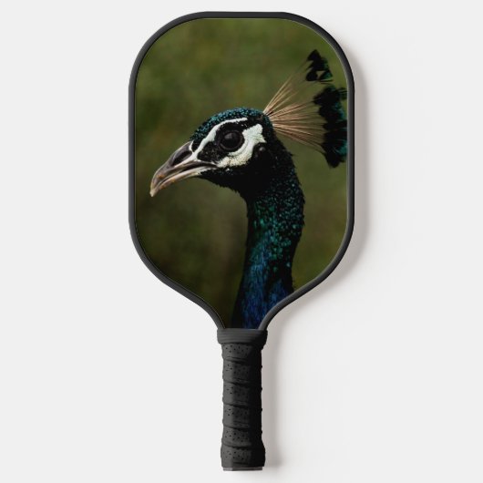 Raquette De Pickleball Profil de Peacock (Recto)