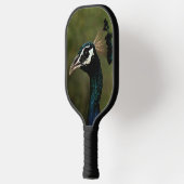 Raquette De Pickleball Profil de Peacock (Gauche)