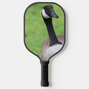 Raquette De Pickleball Quoi ?