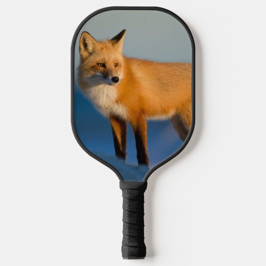 Raquette De Pickleball Renard Brown (Recto)