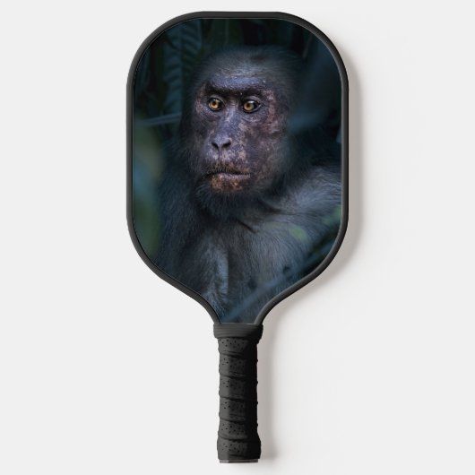 Raquette De Pickleball Singe dans la jungle (Recto)