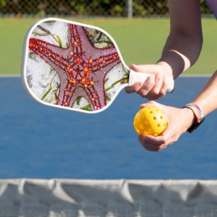 Raquette De Pickleball Starfish, Zanzibar, Tanzanie