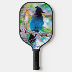 Raquette De Pickleball Steller's Jay - Photographie originale