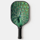 Raquette De Pickleball Strut Peacock (Verso)