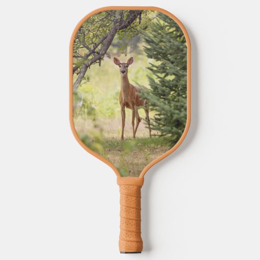 Raquette De Pickleball Un cerf solitaire (Recto)